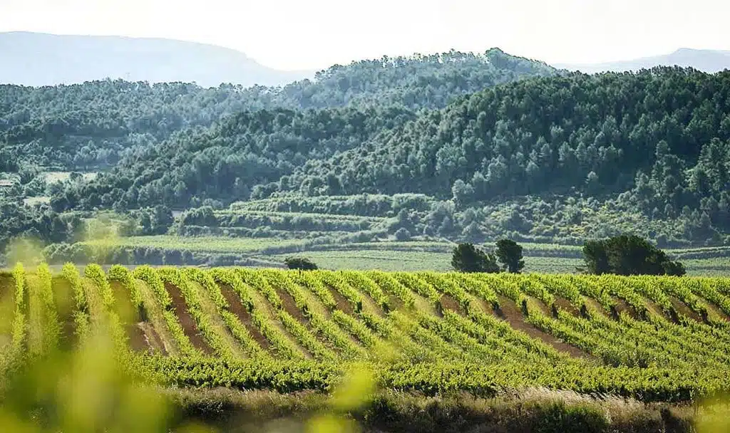 Detective privado Alt Penedes