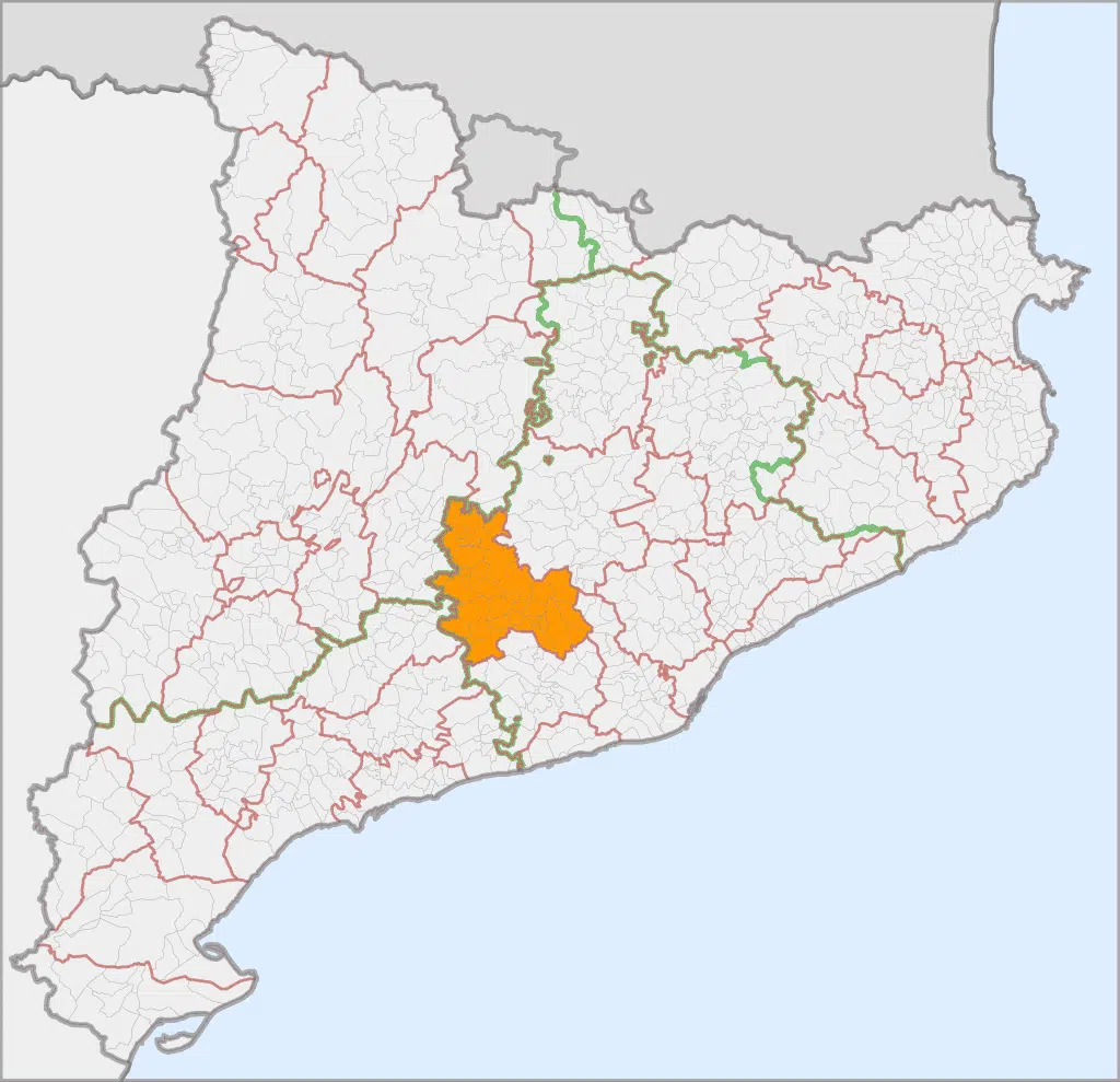 Detective privado Anoia