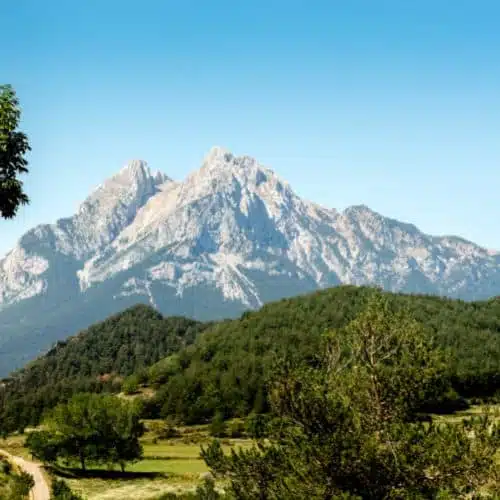 Detective Privado El Bergadà