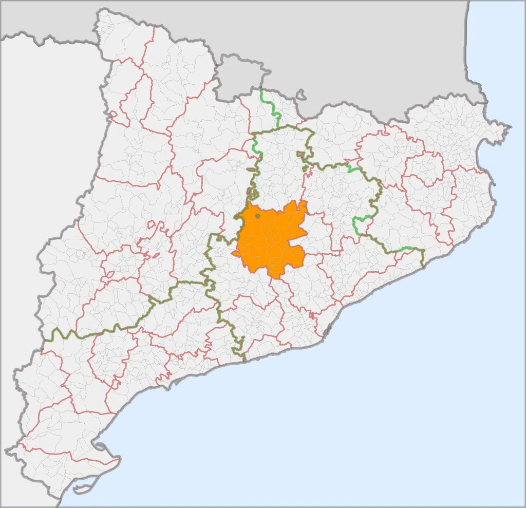 detective privado el_Bages