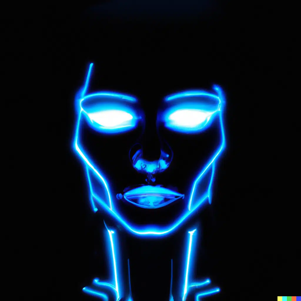 Detectives ciberdelincuencia